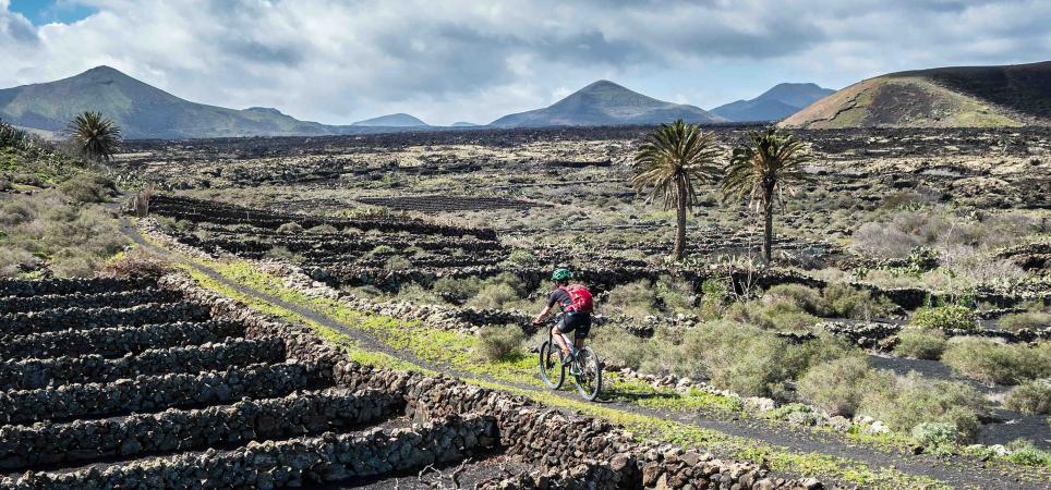 Vides volcánicas en Lanzarote