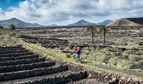 Vides volcánicas en Lanzarote